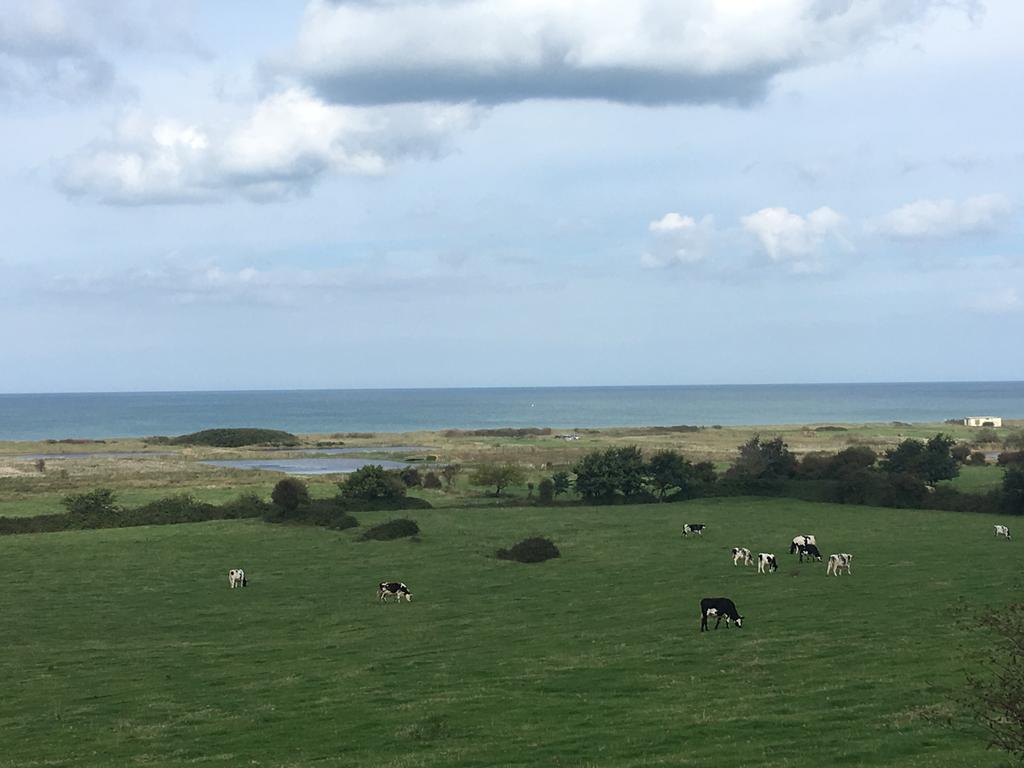 Le Mas Normand Ver-sur-Mer Экстерьер фото